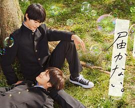 泛页面关键词0621